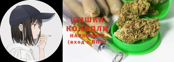 спиды Бородино