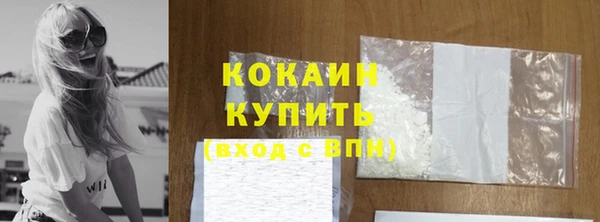 спиды Бородино