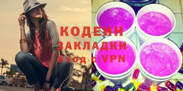 спиды Бородино