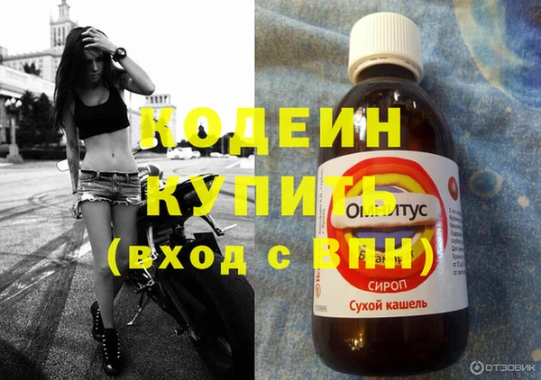 спиды Бородино