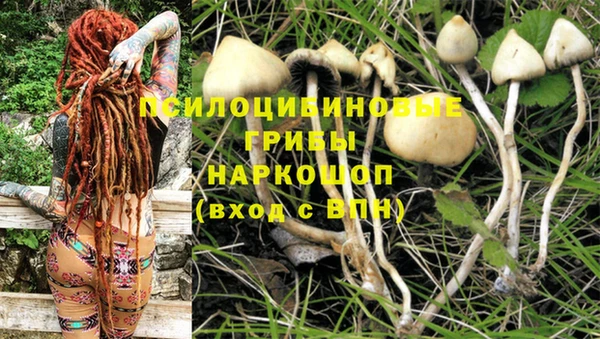 гидропоника Бронницы