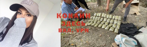 гидропоника Бронницы